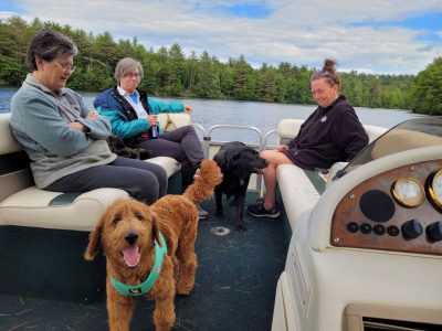 dogs on pontoon boat