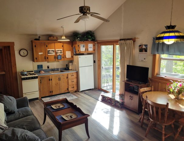 living room 1