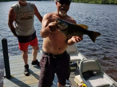nh fish