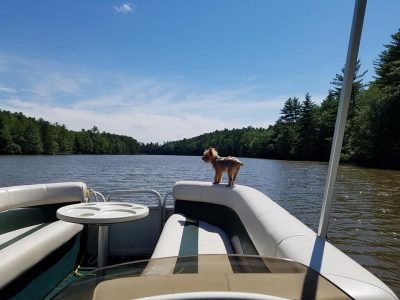 boating dog