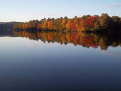 Pemigewasset River foliage