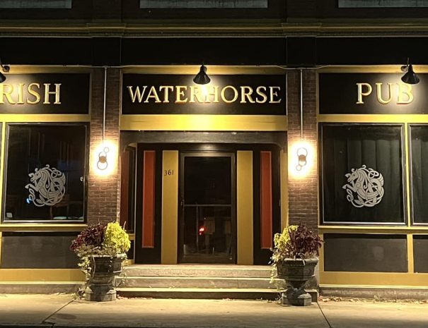 Waterhorse Irish Pub